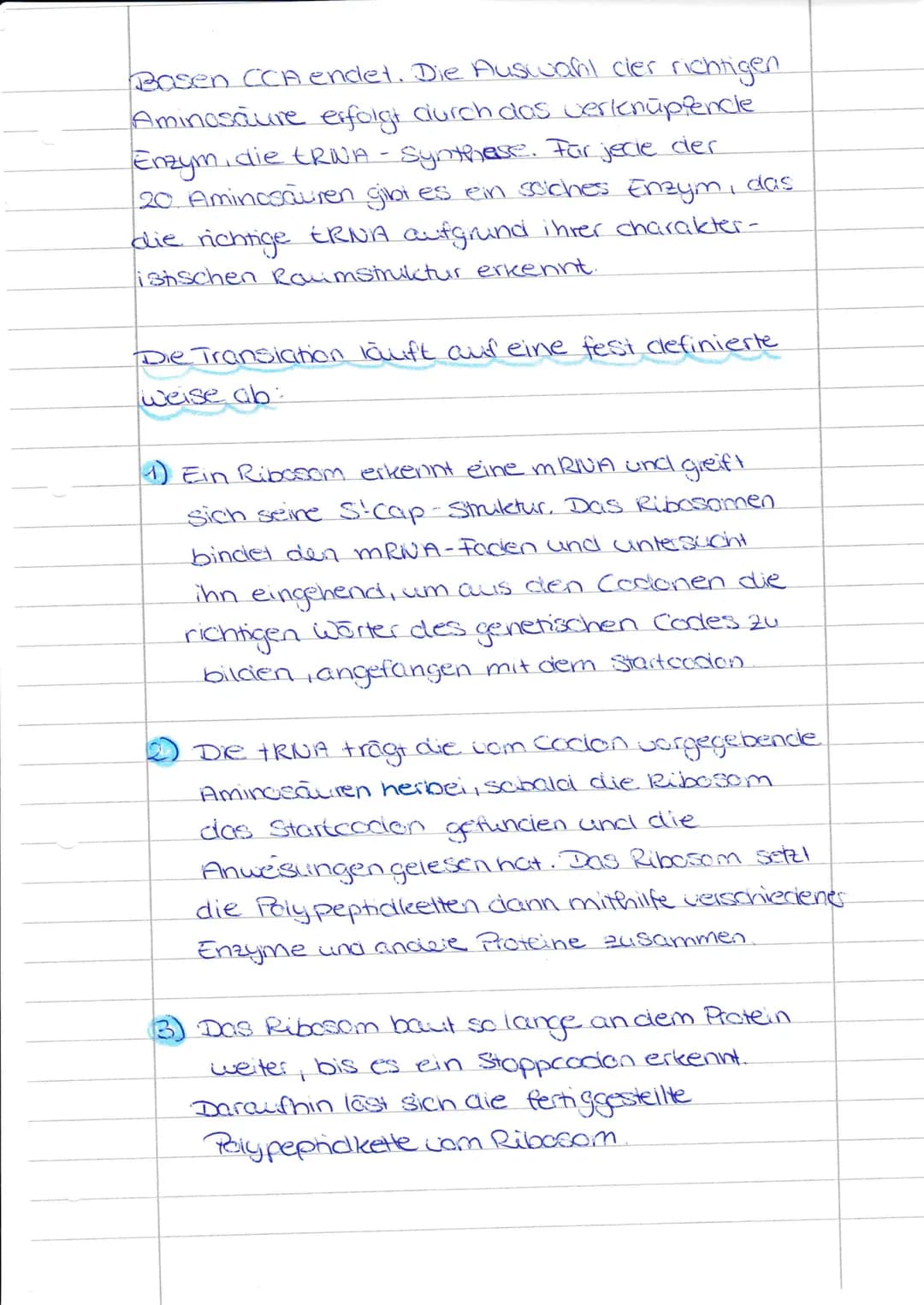 <h2 id="proteinbiosyntheseablauf">Proteinbiosynthese Ablauf</h2>
<h3 id="initiationtranslation">Initiation Translation</h3>
<p>Der Ablauf de