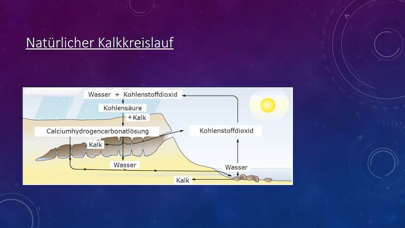 201
KALKKREISLAUF Gliederung
1.natürlicher Kalkkreislauf
1.1 Schritte
1.2 Beispiel
1.3 Bedeutung
2.technischer Kalkkreislauf
2.1 Schritte
2.