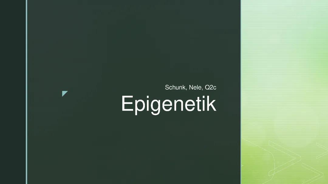 Epigenetik für Kinder: Beispiel, DNA-Methylierung und mehr erklärt!