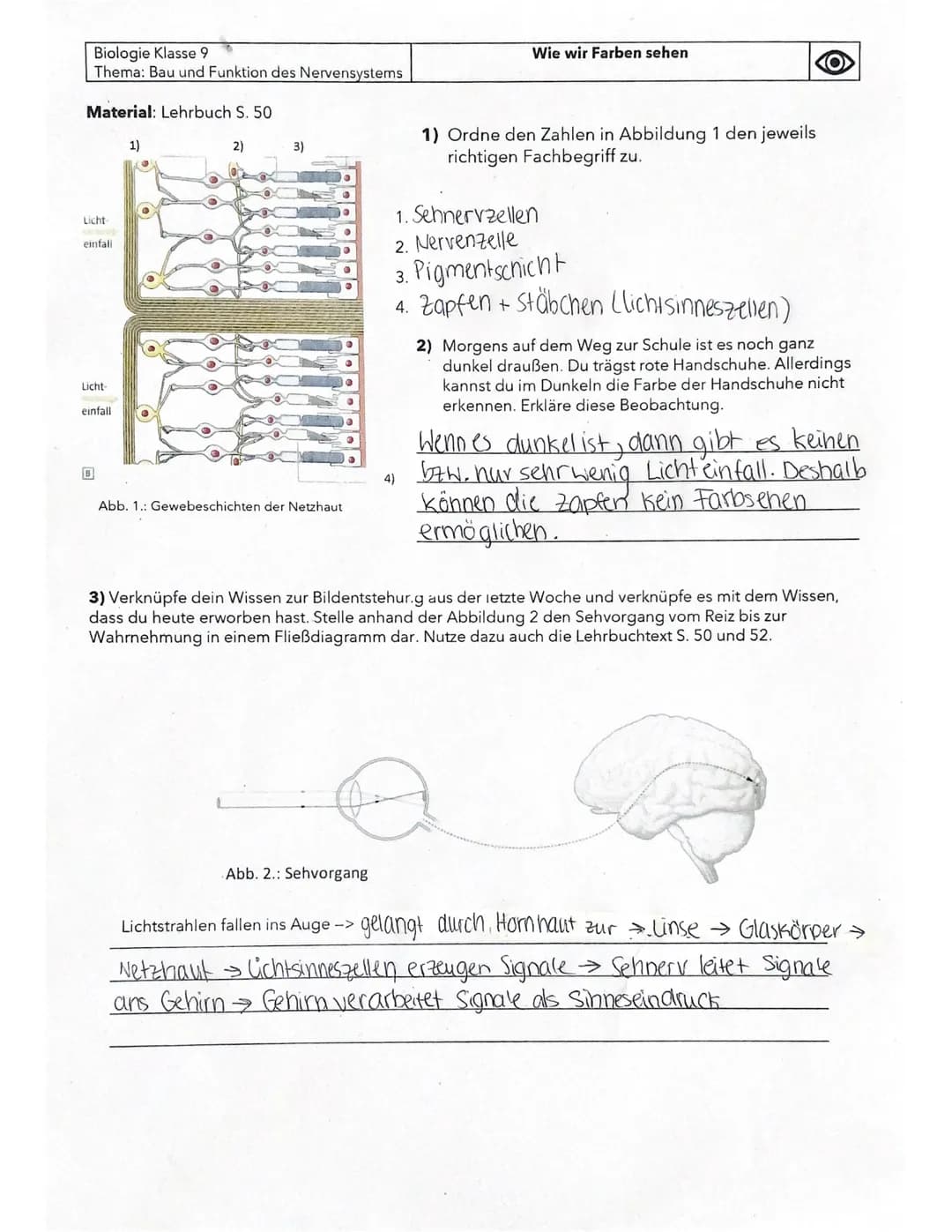 Biologie Klasse 9
Thema: Bau und Funktion des Nervensystems
Material: Bleistift, Lehrbuch S. 52.
Wie wir verschieden weit entfernte Dinge na