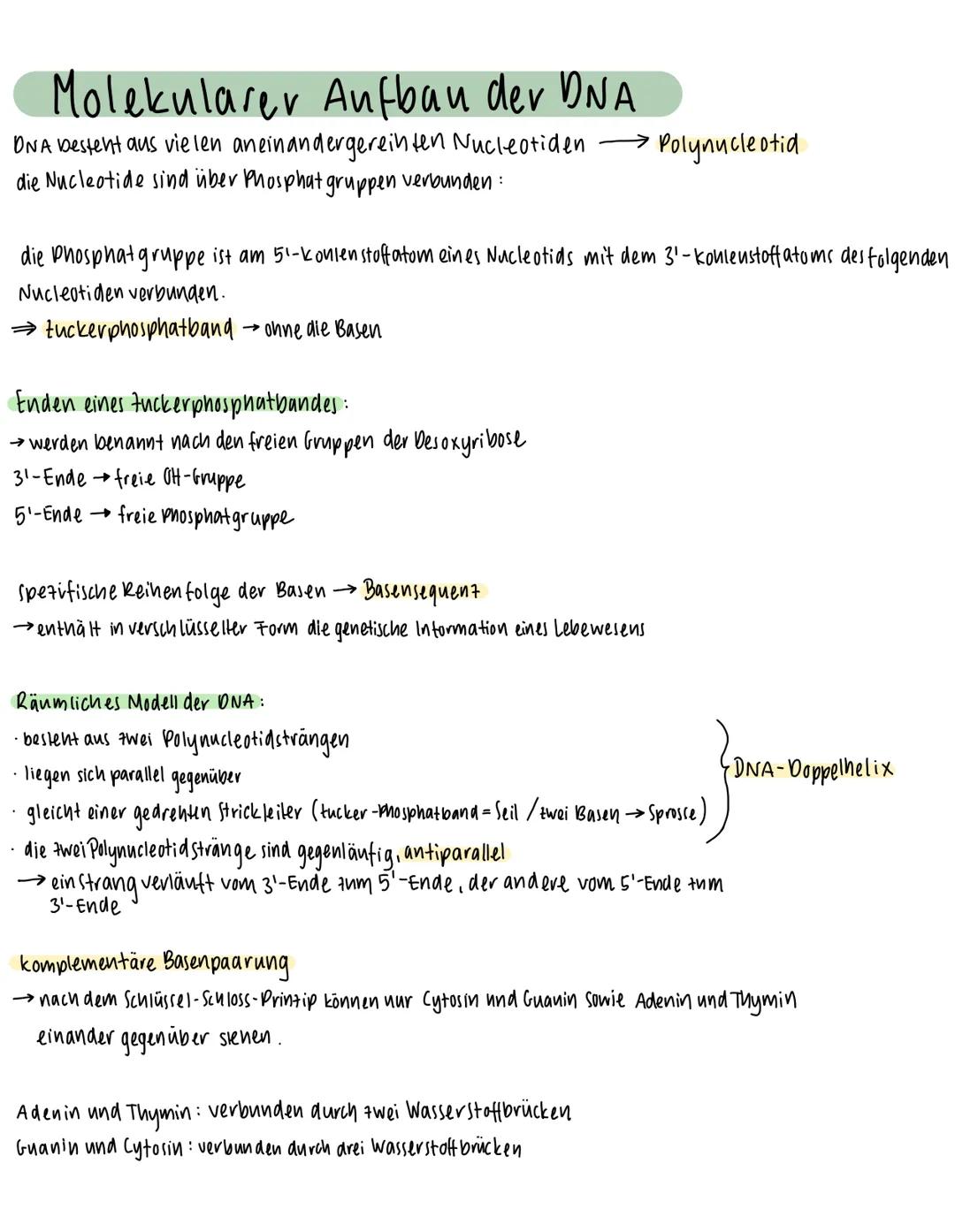 Molekularer Aufbau der DNA
chemischer Bau der DNA: Desoxyribose (Zucker), Phosphorsäure, organische Basen
O
Desoxyribose:
HO-CHI
Ski
OH H
OH