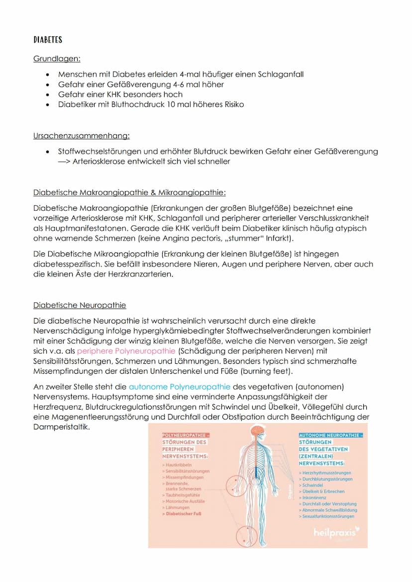 P1 ABITUR
Apoplex
PATHOGENESE DES SCHLAGANFALLS
I. TRANSITORISCH ISCHÄMISCHE ATTACKE (TIA)
TIA, eine Vorstufe des Schlaganfalls. Es kommt zu