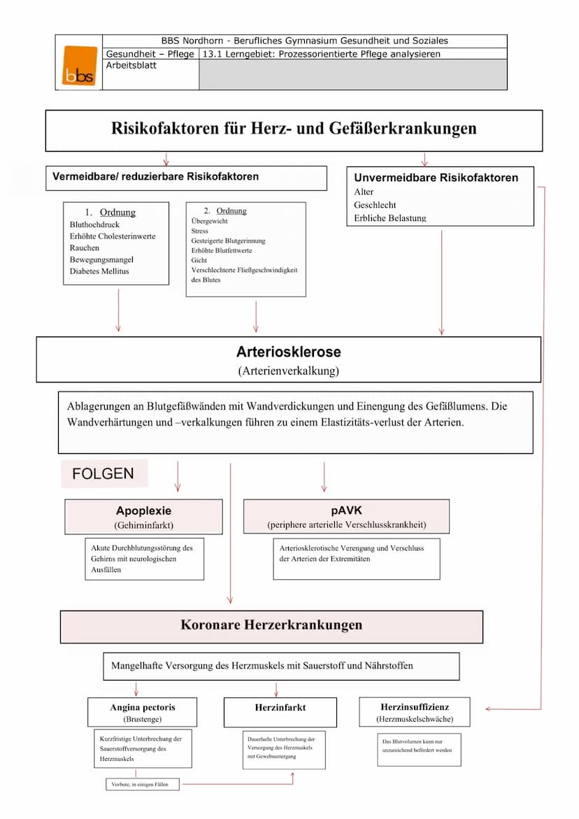 P1 ABITUR
Apoplex
PATHOGENESE DES SCHLAGANFALLS
I. TRANSITORISCH ISCHÄMISCHE ATTACKE (TIA)
TIA, eine Vorstufe des Schlaganfalls. Es kommt zu