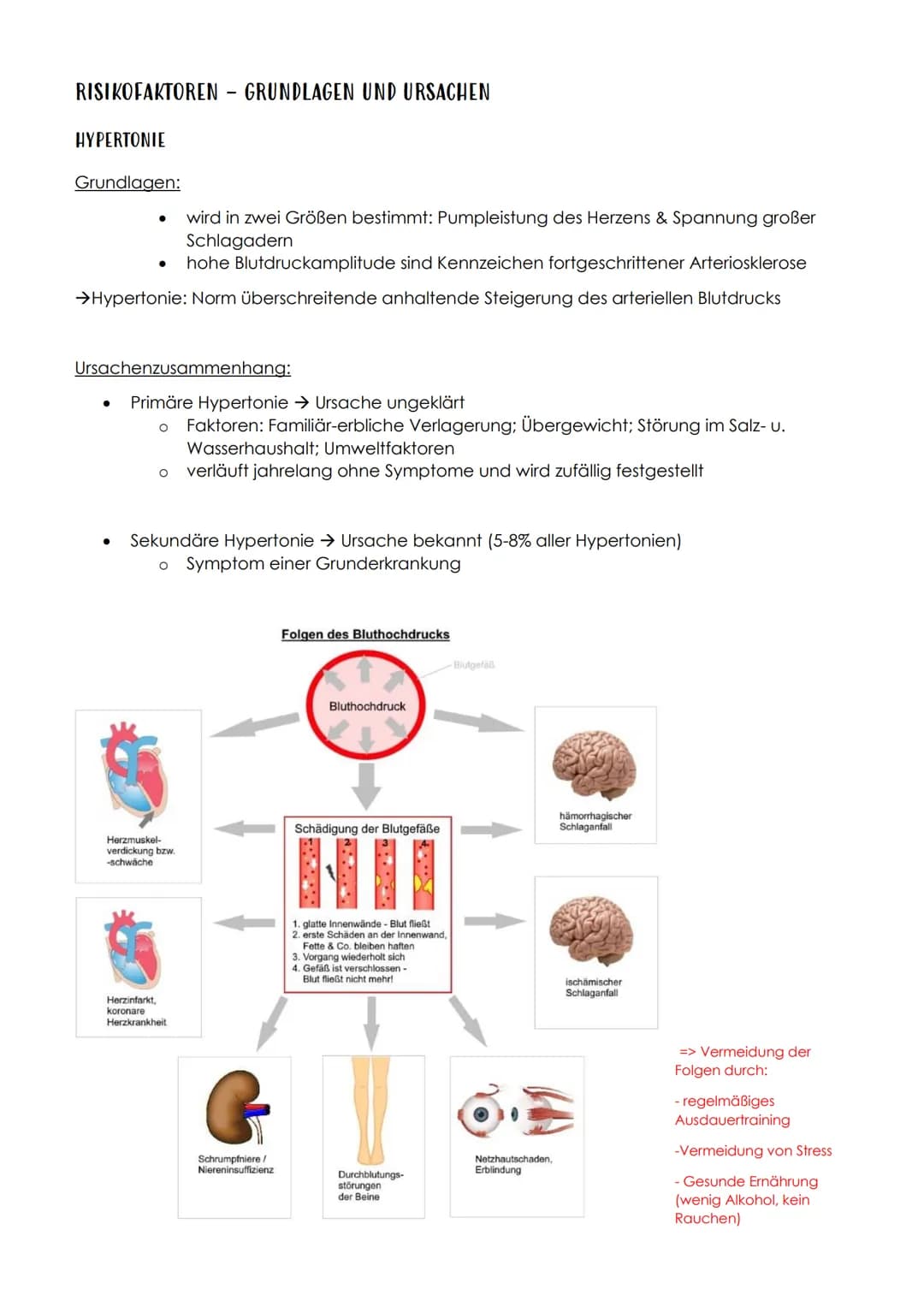 P1 ABITUR
Apoplex
PATHOGENESE DES SCHLAGANFALLS
I. TRANSITORISCH ISCHÄMISCHE ATTACKE (TIA)
TIA, eine Vorstufe des Schlaganfalls. Es kommt zu
