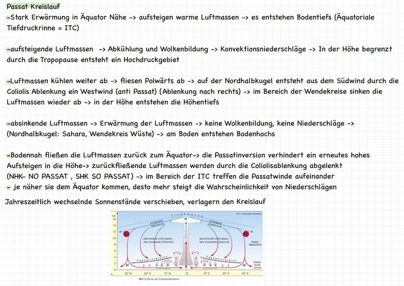Kursarbeit Erdkunde Lk 11/1
Passat Zirkulation, ITC, Zyklone, Föhnwind
Entstehung
Passatwinde
Corioliskraft
Beständig und
regelmatig
(ITC)
3