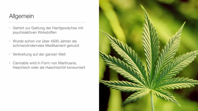 Drogen und ihre Wirkungen Gliederung
●
●
Was sind Drogen überhaupt?
Legale und illegale Drogen
Drogensucht
3 Drogenarten
Die schlimmsten Dro