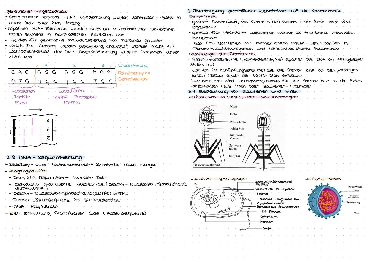HUMANGEMETIK
Mutations-
art
kurze
Erklärung
ausgewählte
Formen
dieser
Mutations-
art
Beispiel
für diese
Mutationsart
1. Kind
Rh-positiv
Blut
