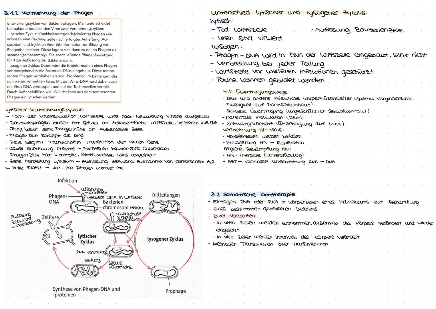 HUMANGEMETIK
Mutations-
art
kurze
Erklärung
ausgewählte
Formen
dieser
Mutations-
art
Beispiel
für diese
Mutationsart
1. Kind
Rh-positiv
Blut