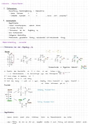 Know Kohlenhydrate/Carbonsäuren thumbnail