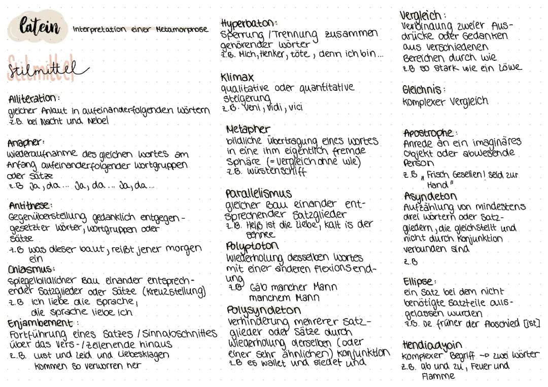 Stilmittel und Metamorphosen