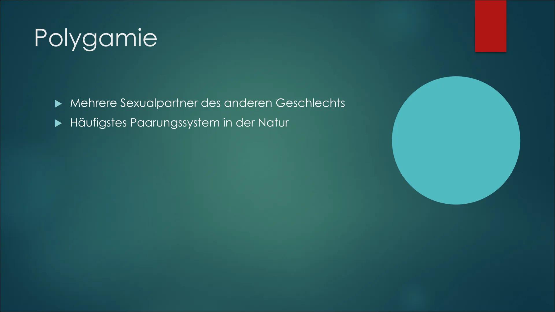 Referat über die
sexuelle Selektion,
Paarungssysteme und
die Habitatwahl von
Lebewesen Sexuelle Selektion:
O Intrasexuelle Selektion: Männch