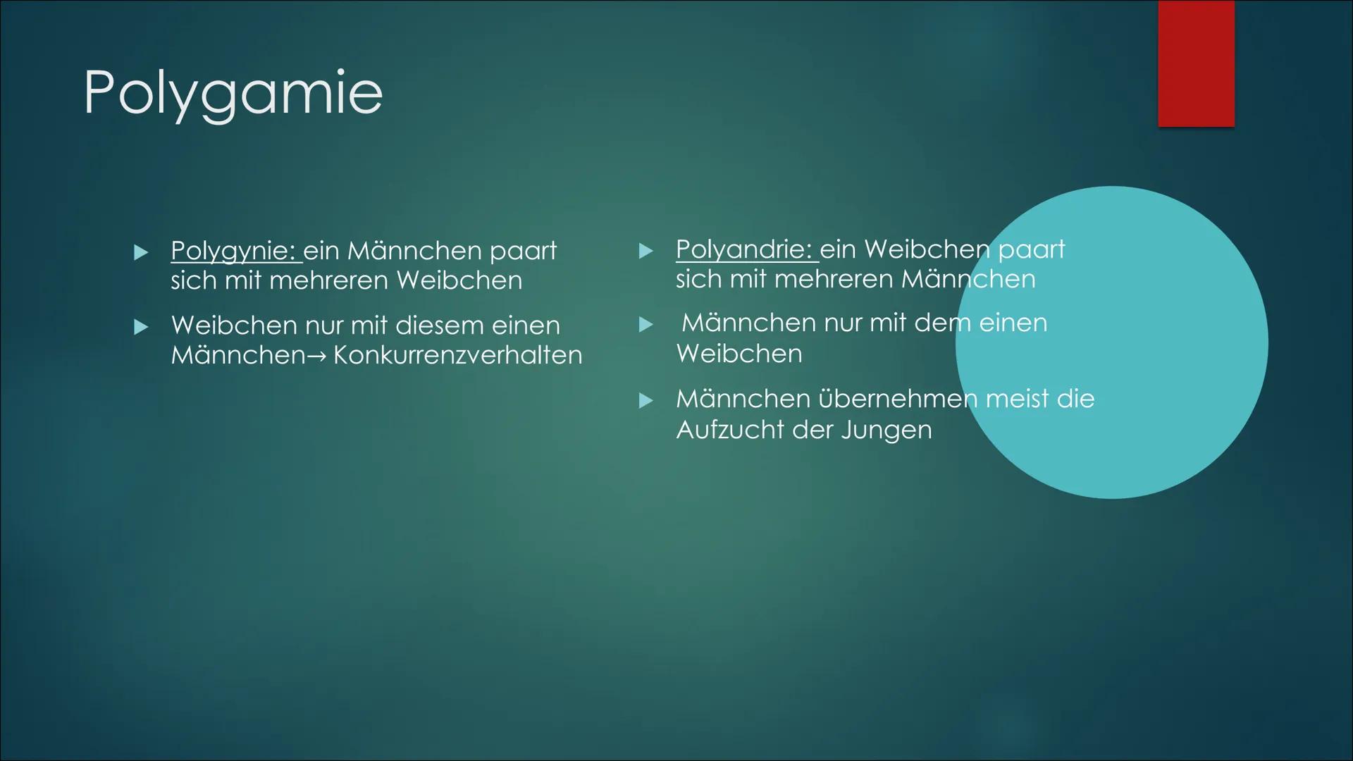 Referat über die
sexuelle Selektion,
Paarungssysteme und
die Habitatwahl von
Lebewesen Sexuelle Selektion:
O Intrasexuelle Selektion: Männch