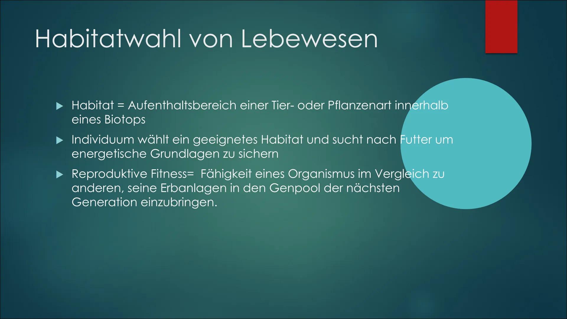 Referat über die
sexuelle Selektion,
Paarungssysteme und
die Habitatwahl von
Lebewesen Sexuelle Selektion:
O Intrasexuelle Selektion: Männch