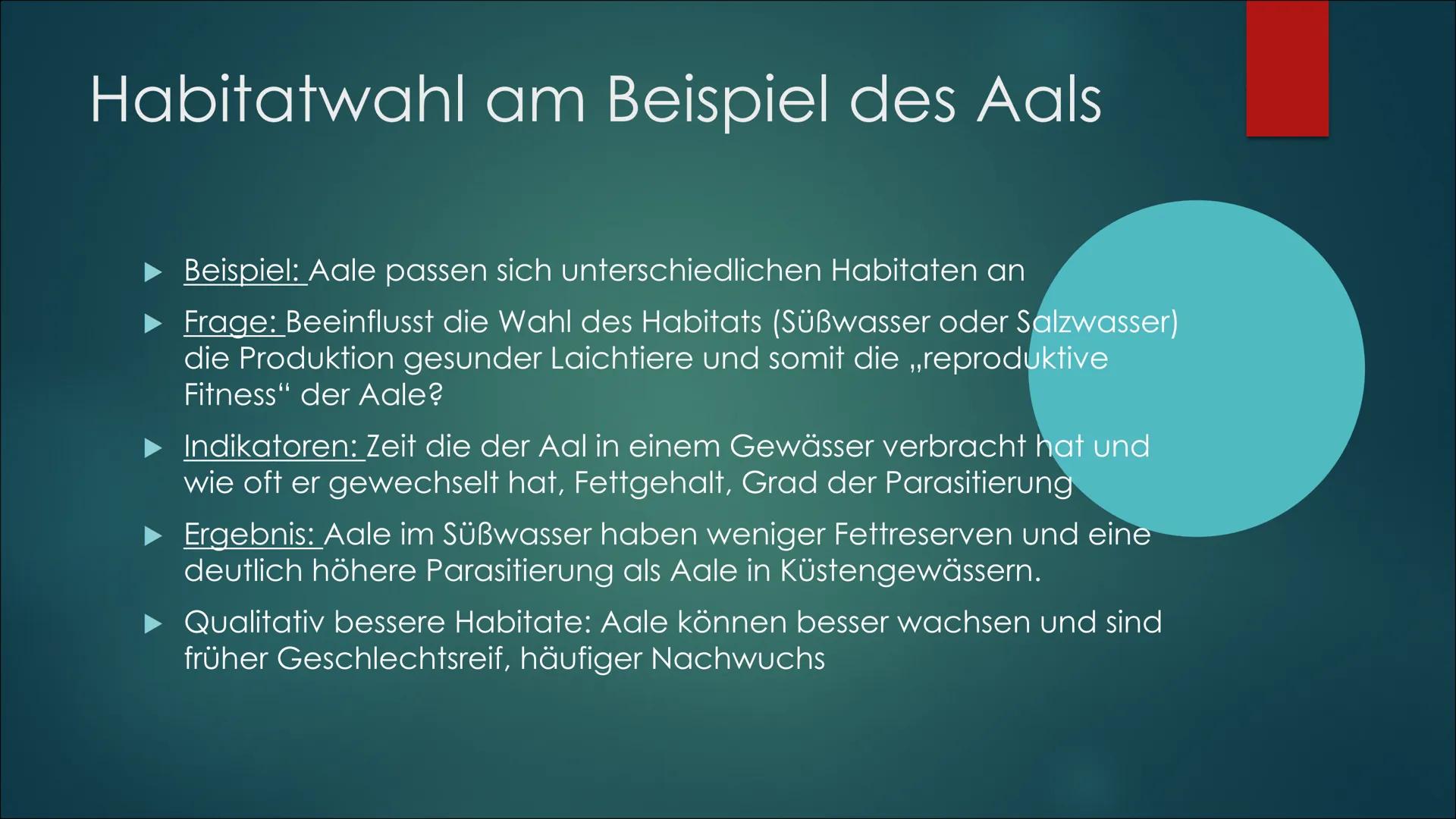 Referat über die
sexuelle Selektion,
Paarungssysteme und
die Habitatwahl von
Lebewesen Sexuelle Selektion:
O Intrasexuelle Selektion: Männch