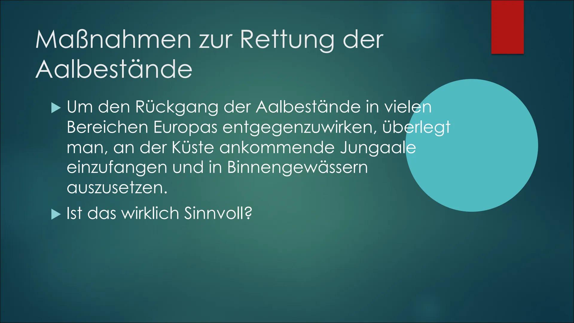 Referat über die
sexuelle Selektion,
Paarungssysteme und
die Habitatwahl von
Lebewesen Sexuelle Selektion:
O Intrasexuelle Selektion: Männch