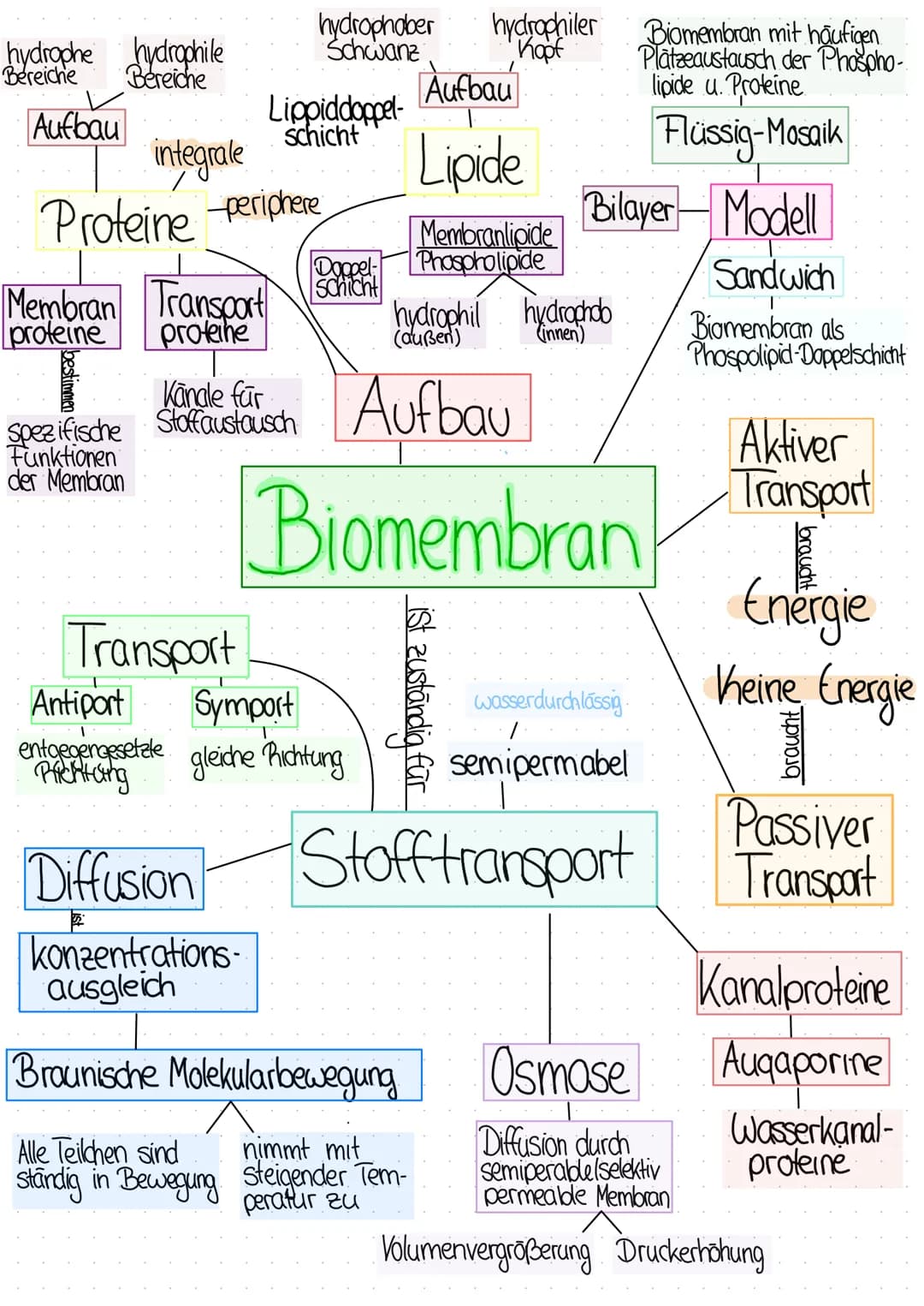 hydrophe hydrophile
Bereiche
Bereiche
Aufbau
Membran Transport
proteine proteine
integrale
Proteine periphere
Spezifische
Funktionen
der Mem