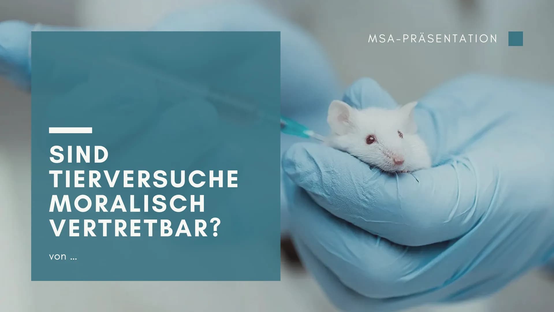SIND
TIERVERSUCHE
MORALISCH
VERTRETBAR?
von ...
MSA-PRÄSENTATION Gliederung
1
Definition und Zwecke
2 Aktuelle Rechtslage in Deutschland
3 W