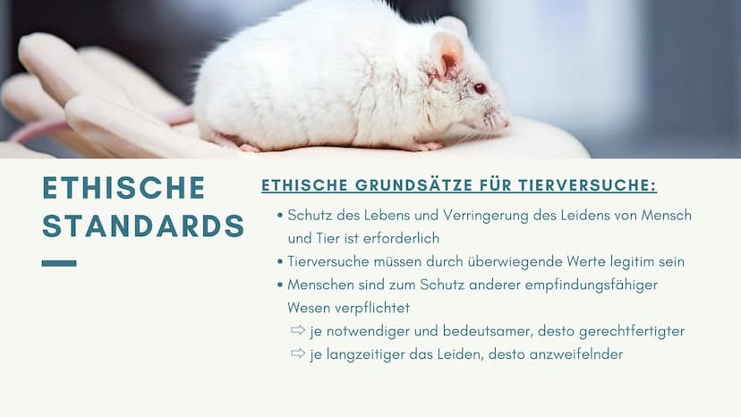 SIND
TIERVERSUCHE
MORALISCH
VERTRETBAR?
von ...
MSA-PRÄSENTATION Gliederung
1
Definition und Zwecke
2 Aktuelle Rechtslage in Deutschland
3 W