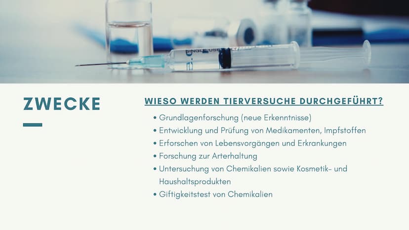 SIND
TIERVERSUCHE
MORALISCH
VERTRETBAR?
von ...
MSA-PRÄSENTATION Gliederung
1
Definition und Zwecke
2 Aktuelle Rechtslage in Deutschland
3 W