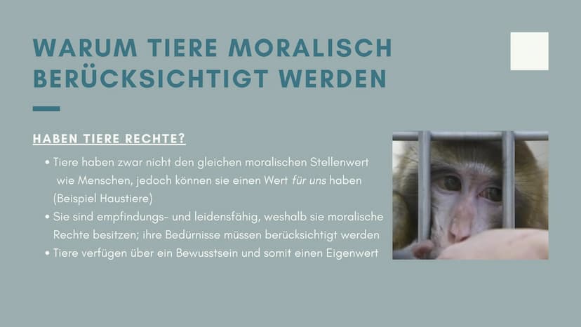 SIND
TIERVERSUCHE
MORALISCH
VERTRETBAR?
von ...
MSA-PRÄSENTATION Gliederung
1
Definition und Zwecke
2 Aktuelle Rechtslage in Deutschland
3 W