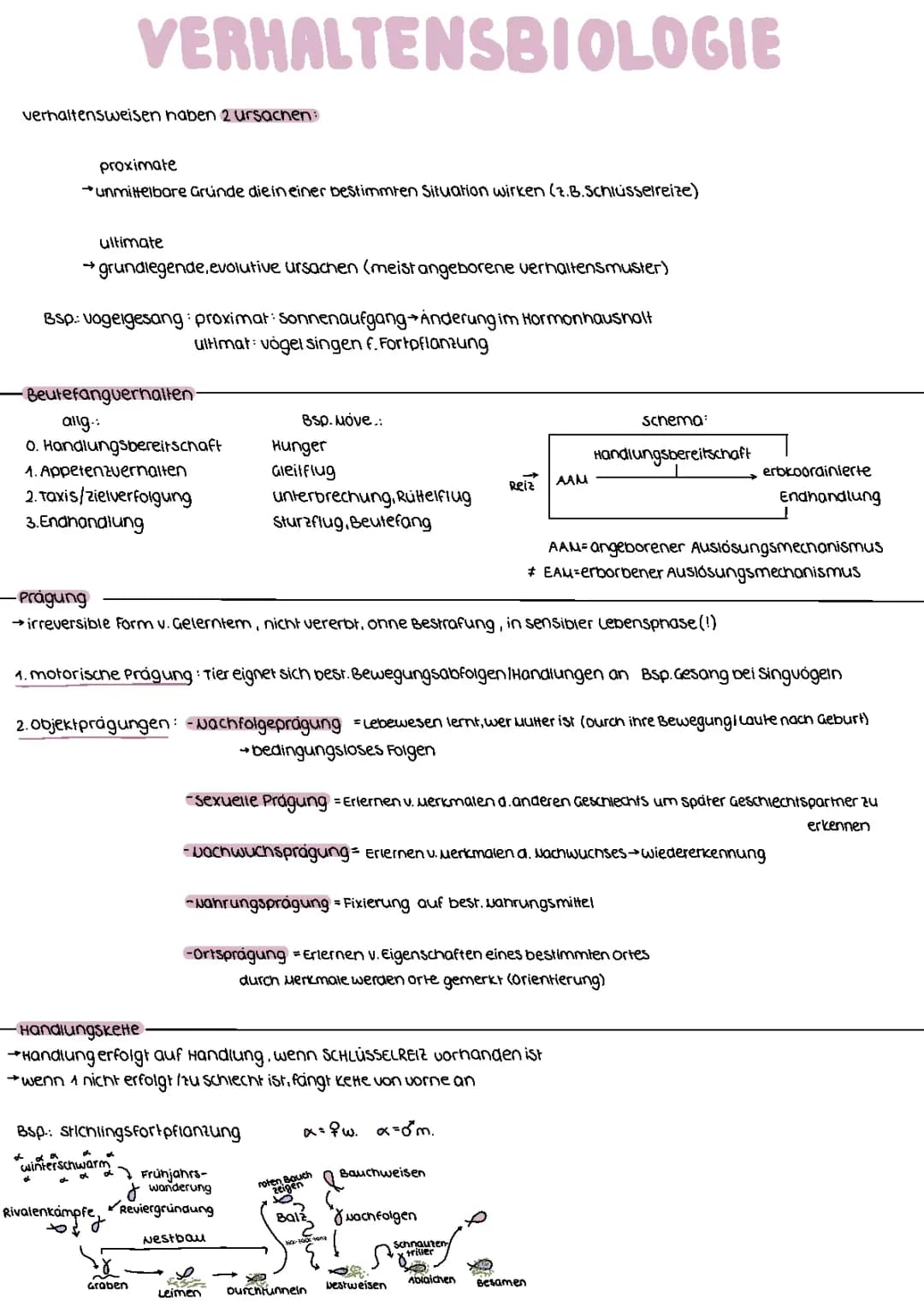 Verhaltensbiologie
