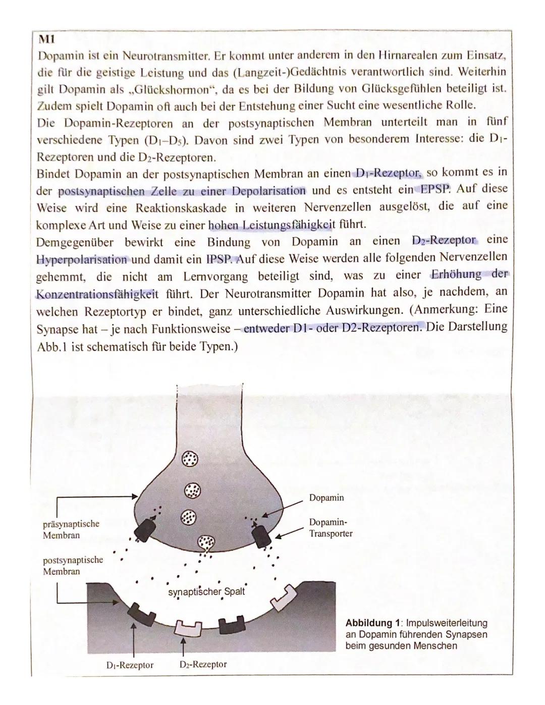 Biologie-Leistungskurs 1. Klausur - Neurophysiologie
Notenpunkte: Falk
Punkte (BE): 95 /100
Wörter:
Fehlerindex:
12 7
2,
Anmerkung: Verwende