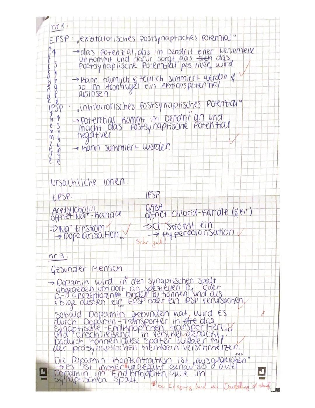 Biologie-Leistungskurs 1. Klausur - Neurophysiologie
Notenpunkte: Falk
Punkte (BE): 95 /100
Wörter:
Fehlerindex:
12 7
2,
Anmerkung: Verwende