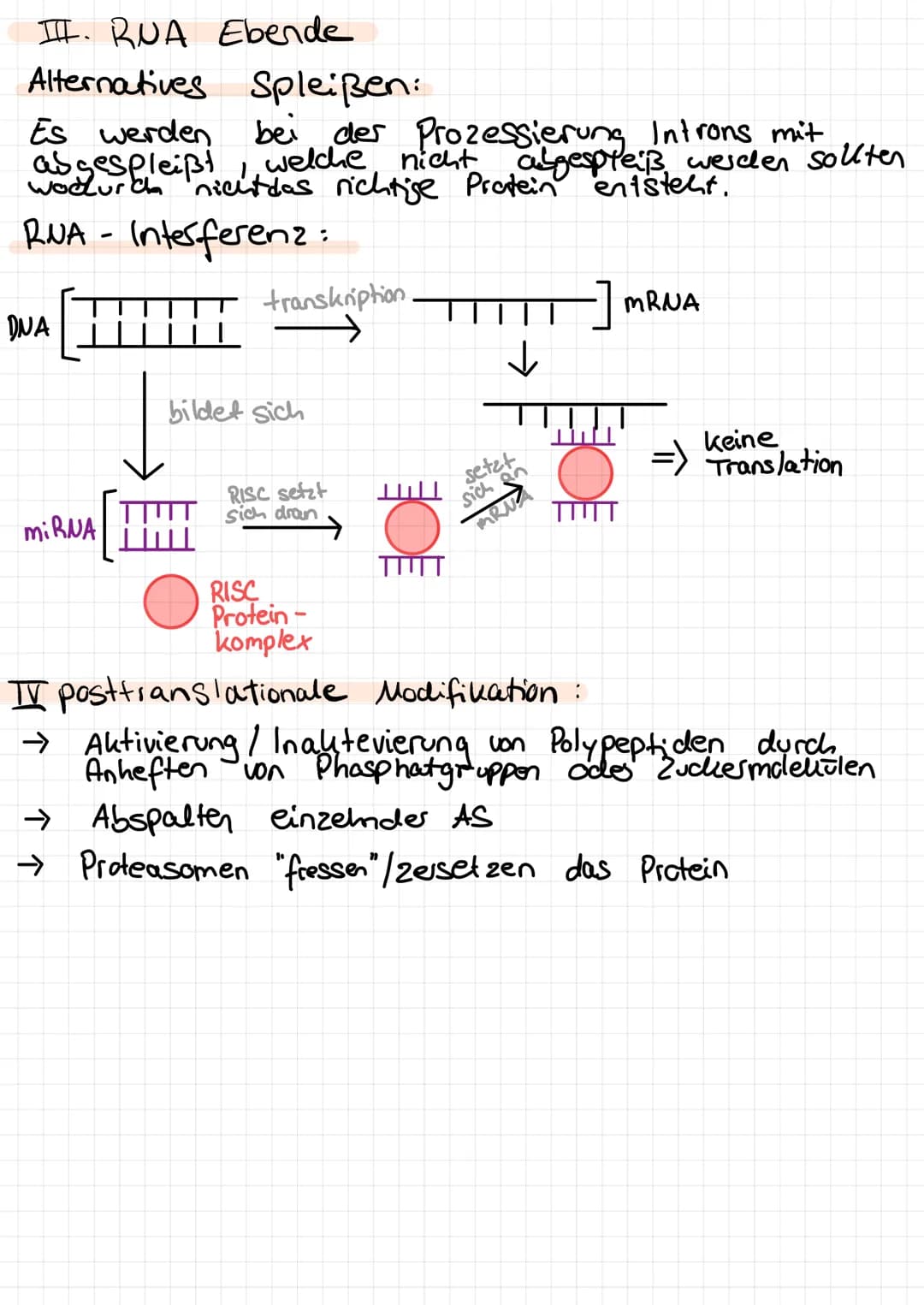 Genregulation bei Prokaryoten
m-RNA des
Repressors
Repressor
Substratinduktion
Bsp: lac - Opesons
Ausgangssituation:
m-RNA des
Repressors
Pr