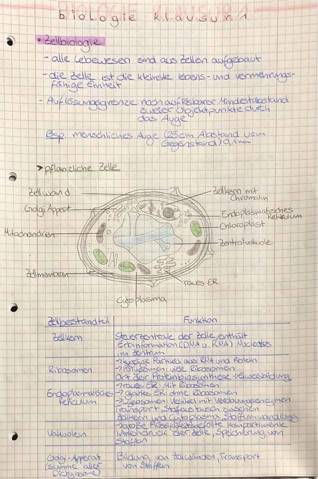 •
TO
biologie
• Zellbiologie
- alle Lebewesen sind aus Zellen
aufgebaut
-die Zelle ist die kleinste lebens- und vermehrungs-
fähige Einheit
