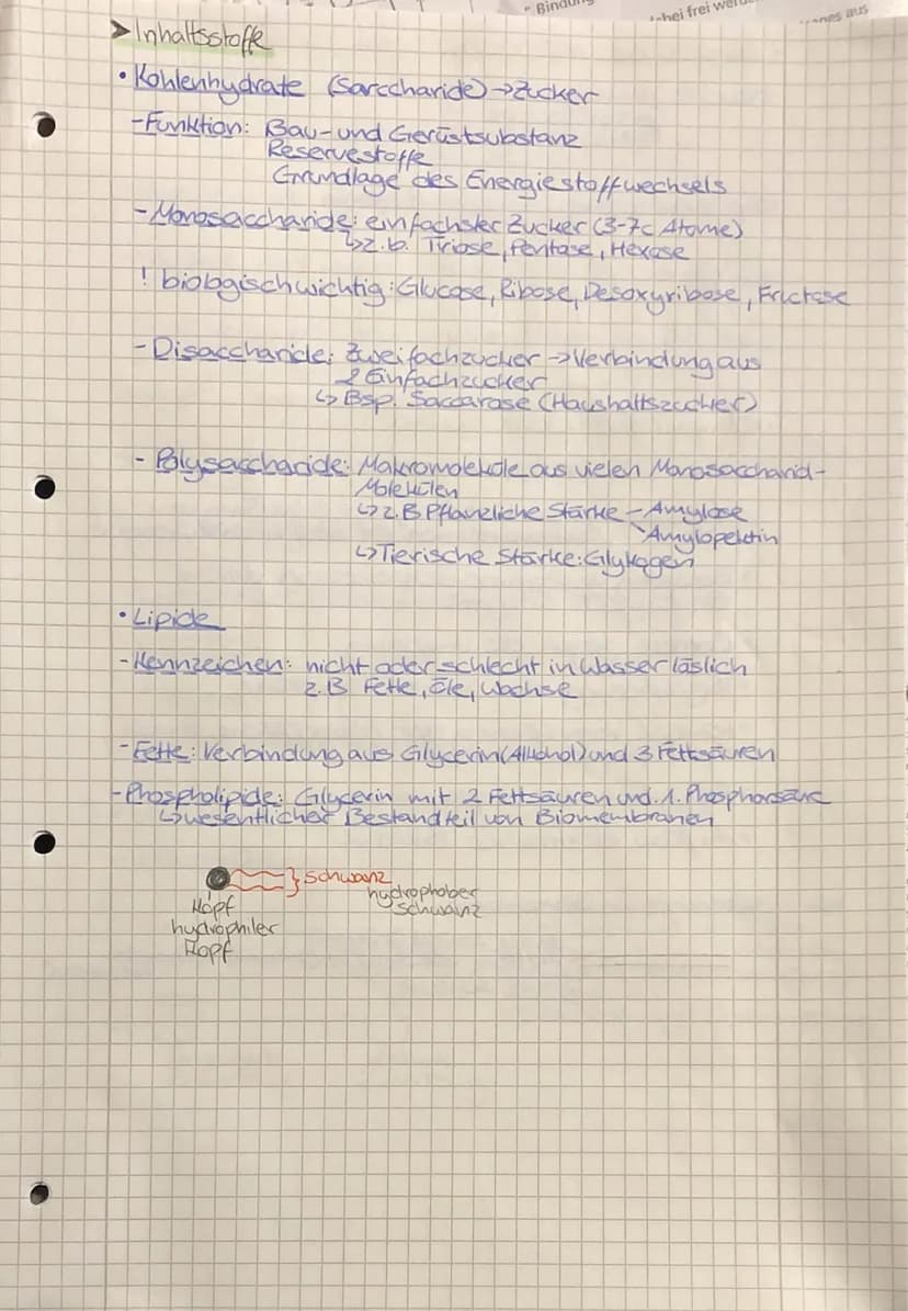 •
TO
biologie
• Zellbiologie
- alle Lebewesen sind aus Zellen
aufgebaut
-die Zelle ist die kleinste lebens- und vermehrungs-
fähige Einheit
