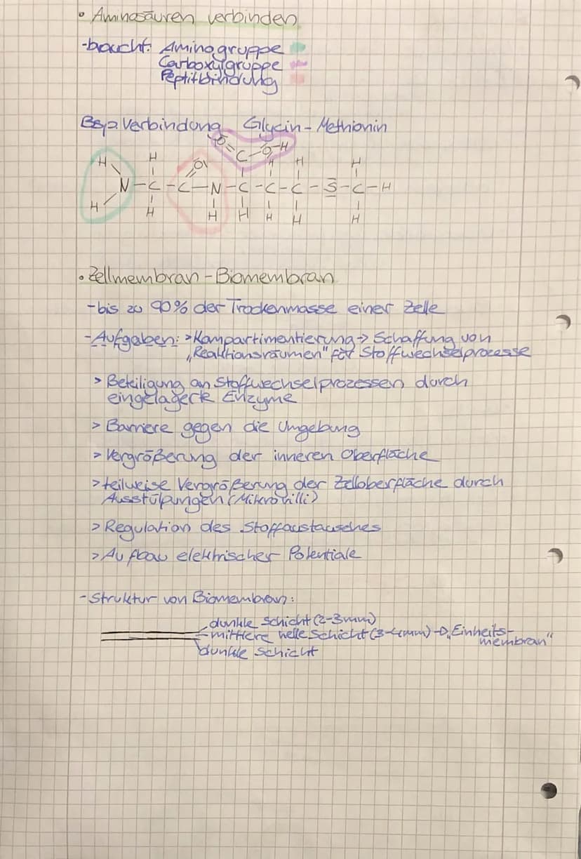 •
TO
biologie
• Zellbiologie
- alle Lebewesen sind aus Zellen
aufgebaut
-die Zelle ist die kleinste lebens- und vermehrungs-
fähige Einheit
