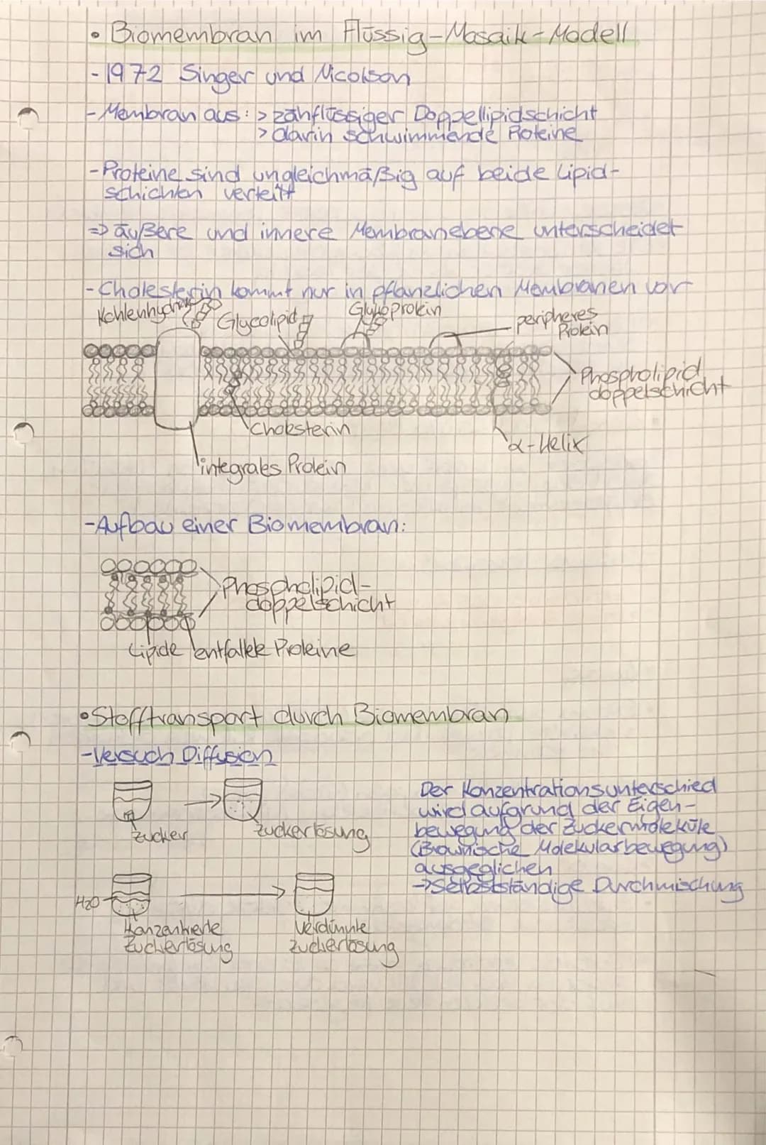 •
TO
biologie
• Zellbiologie
- alle Lebewesen sind aus Zellen
aufgebaut
-die Zelle ist die kleinste lebens- und vermehrungs-
fähige Einheit
