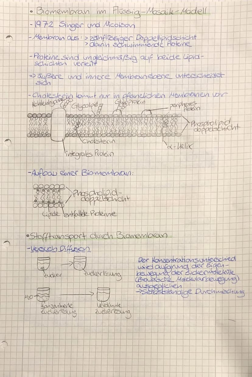 •
TO
biologie
• Zellbiologie
- alle Lebewesen sind aus Zellen
aufgebaut
-die Zelle ist die kleinste lebens- und vermehrungs-
fähige Einheit
