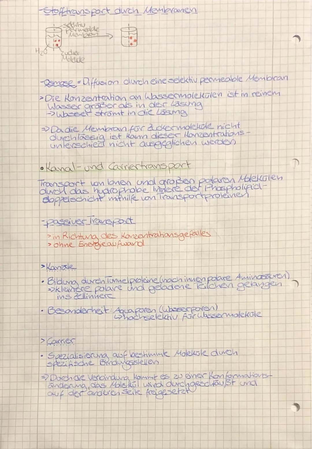 •
TO
biologie
• Zellbiologie
- alle Lebewesen sind aus Zellen
aufgebaut
-die Zelle ist die kleinste lebens- und vermehrungs-
fähige Einheit

