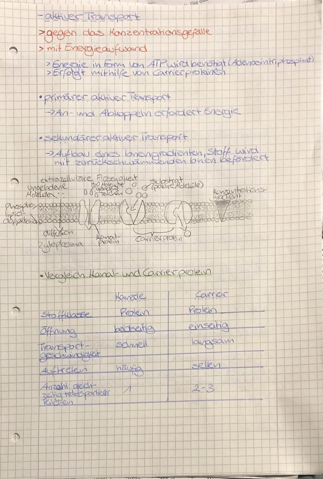 •
TO
biologie
• Zellbiologie
- alle Lebewesen sind aus Zellen
aufgebaut
-die Zelle ist die kleinste lebens- und vermehrungs-
fähige Einheit
