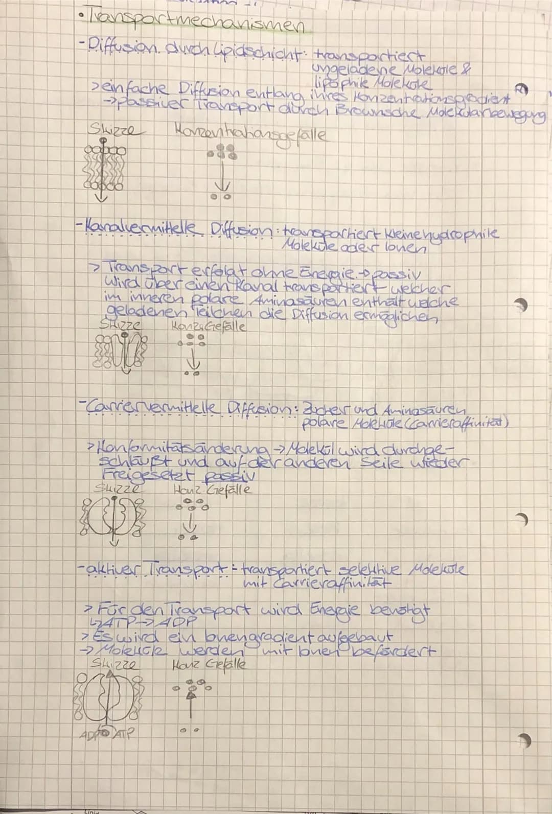 •
TO
biologie
• Zellbiologie
- alle Lebewesen sind aus Zellen
aufgebaut
-die Zelle ist die kleinste lebens- und vermehrungs-
fähige Einheit
