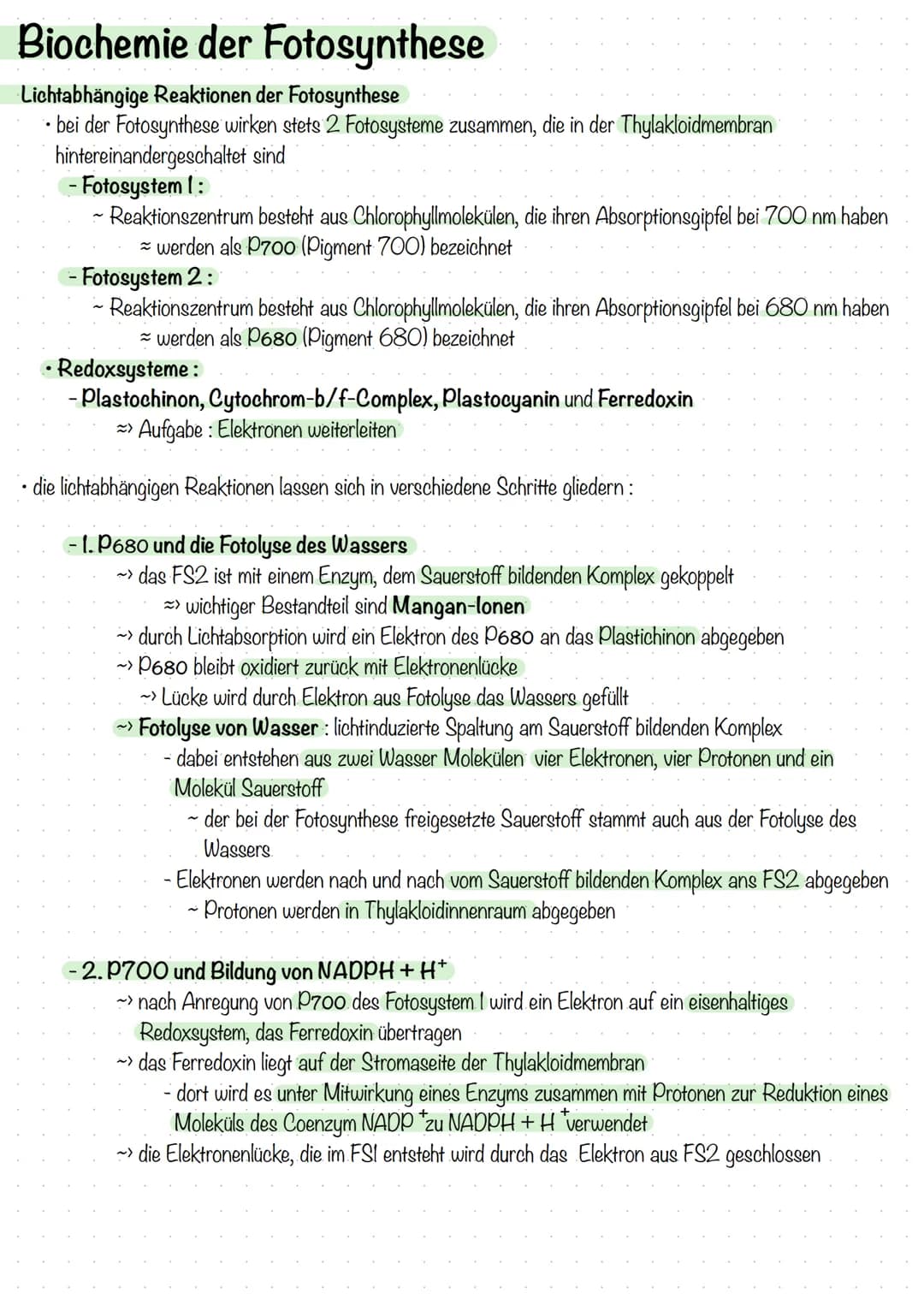 Biochemie der Fotosynthese
Lichtabhängige Reaktionen der Fotosynthese
bei der Fotosynthese wirken stets 2 Fotosysteme zusammen, die in der T