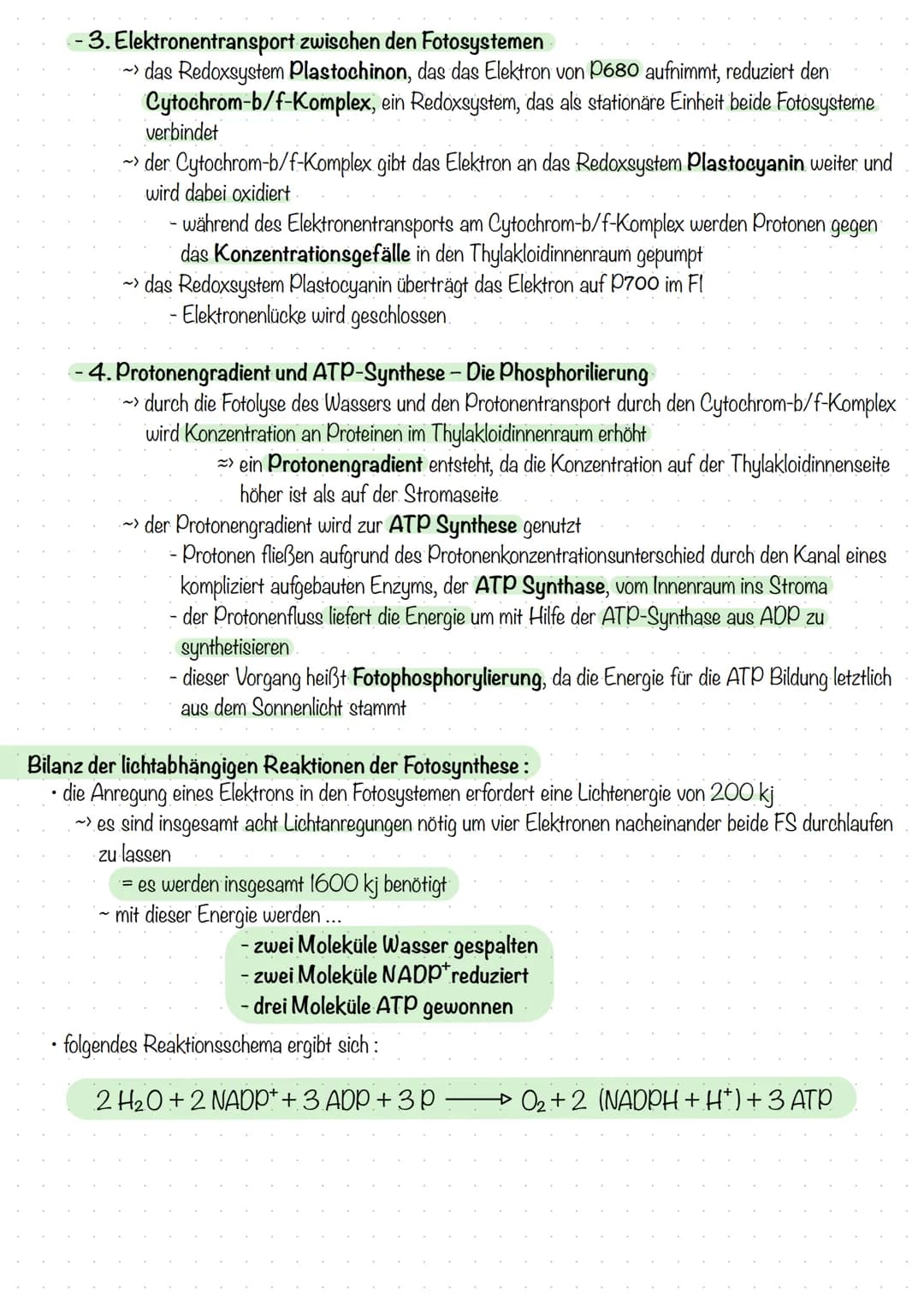 Biochemie der Fotosynthese
Lichtabhängige Reaktionen der Fotosynthese
bei der Fotosynthese wirken stets 2 Fotosysteme zusammen, die in der T