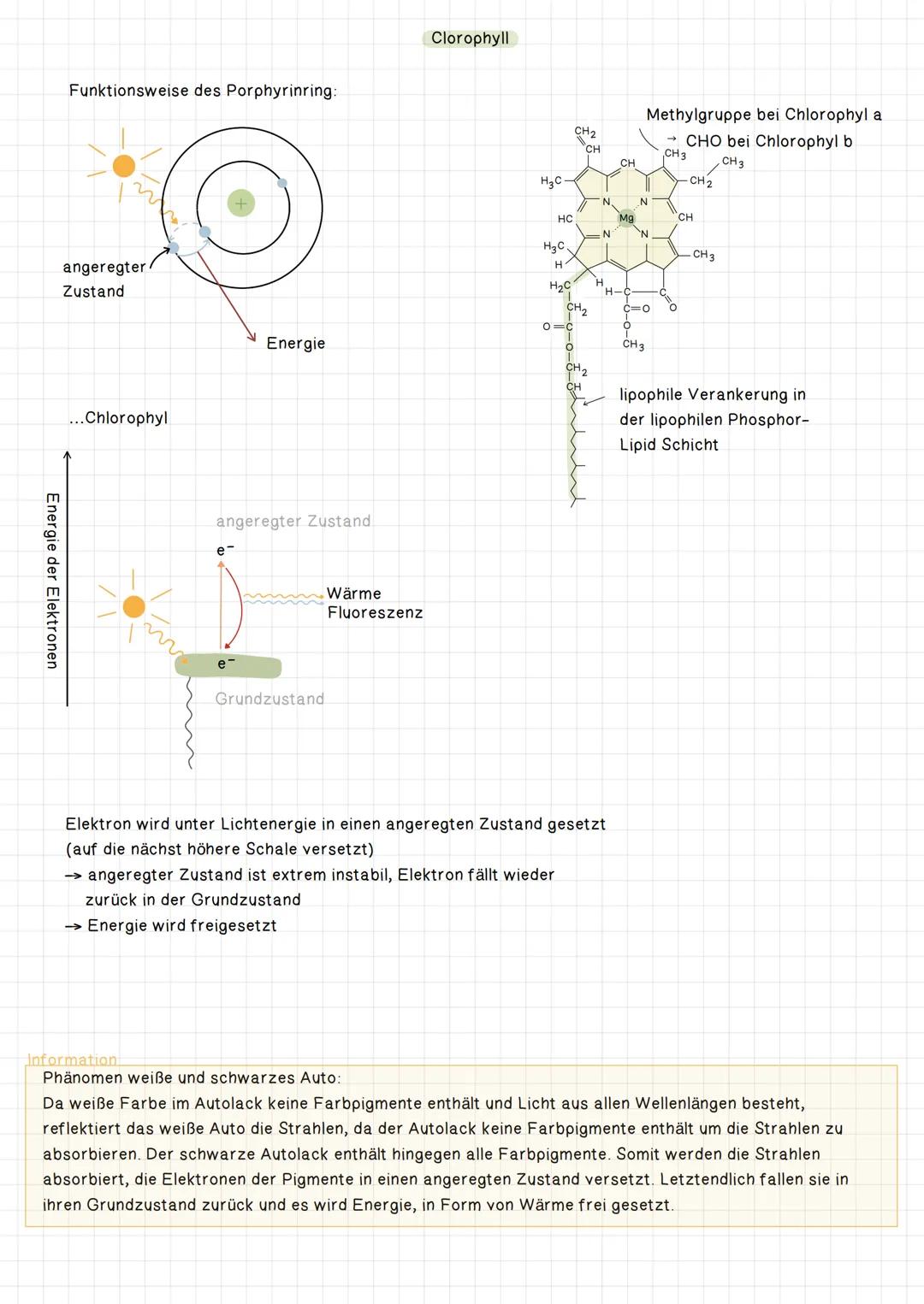 # Das Fotosystem
- Lichtsammelkomplex -

Lichtenergie

Energietransfer

Hilfspigmente,
Carotinoid

Thylakoid
membran

Chlorophylmoleküle
a u