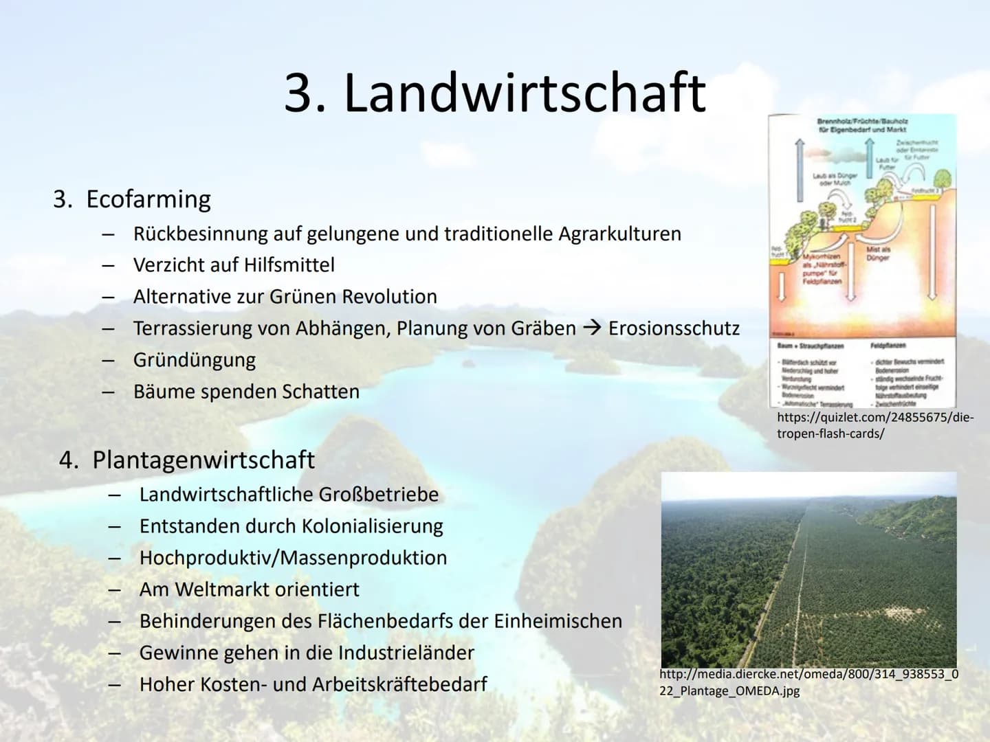 Indonesien
Ein Entwicklungsland? 1. Allgemein
2. Naturpotential
3. Landwirtschaft
Gliederung
4. Transmigrasi
5. Industrialisierung
6. 5 Welt