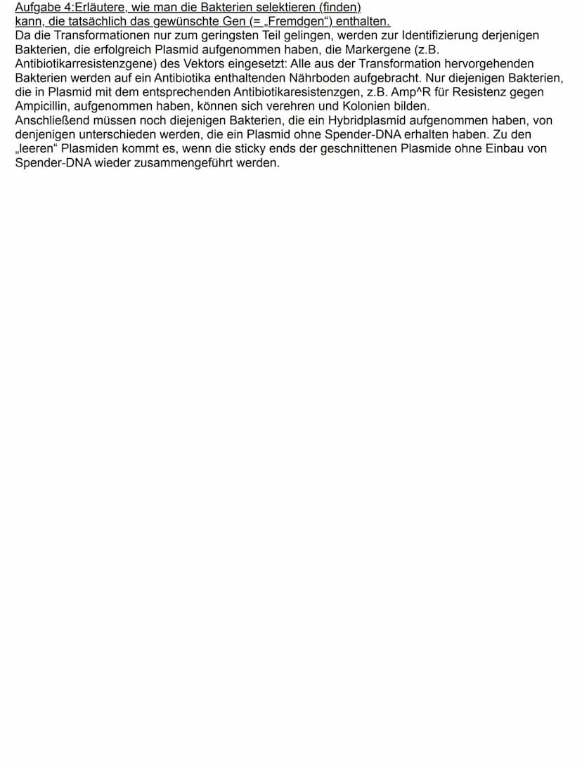 Aufgabe 1:Erläutere die Wirkungsweise der Restriktionsenzyme und die in diesem Zusammenhang.
auftauchenden Begriffe „Palindrom“ und „sticky 
