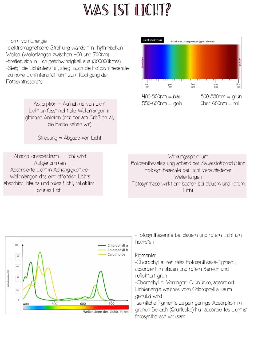 Fotosynthese (Licht, Blätter, Lichtreaktion)