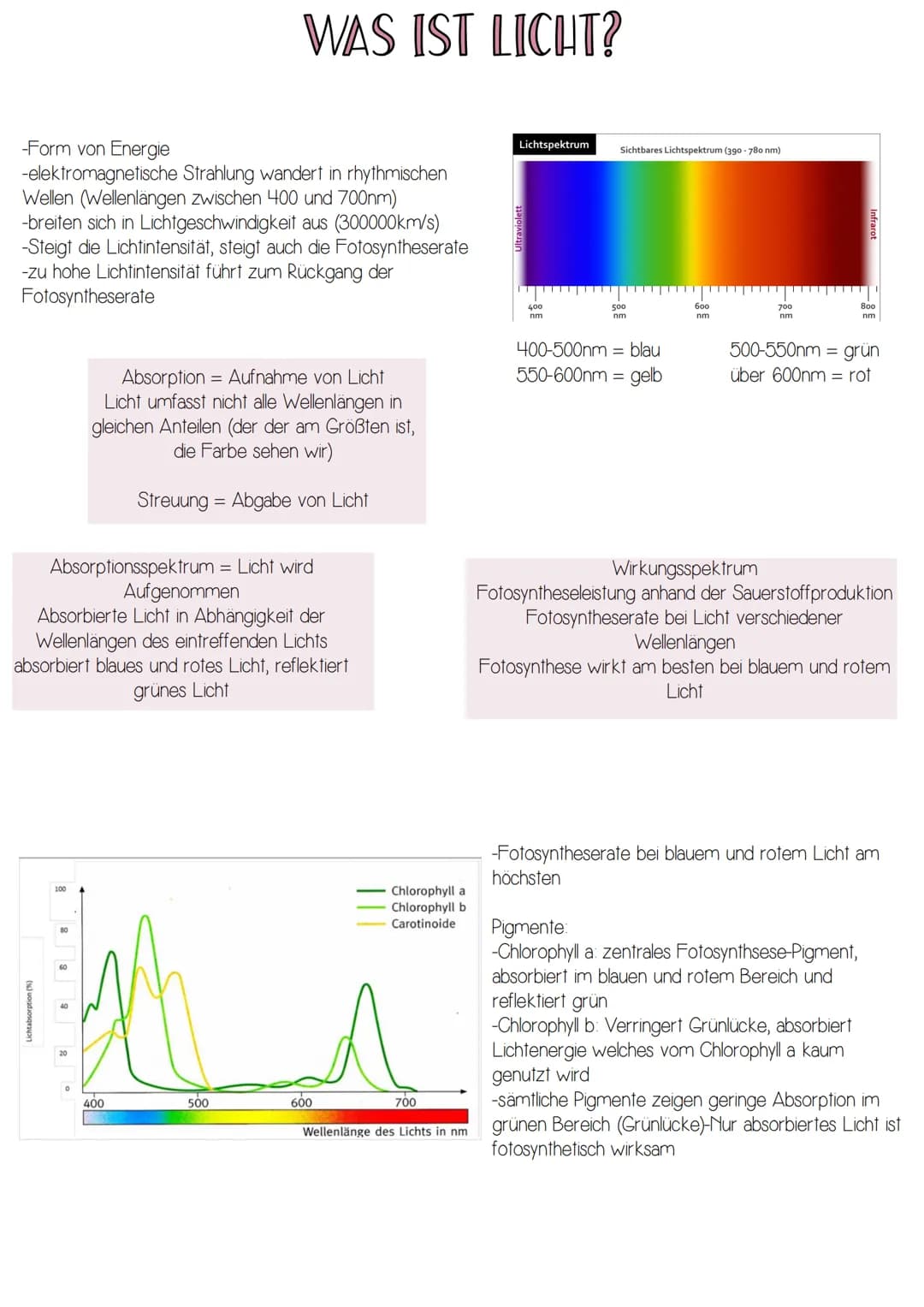-Form von Energie
-elektromagnetische Strahlung wandert in rhythmischen
Wellen (Wellenlängen zwischen 400 und 700nm)
-breiten sich in Lichtg