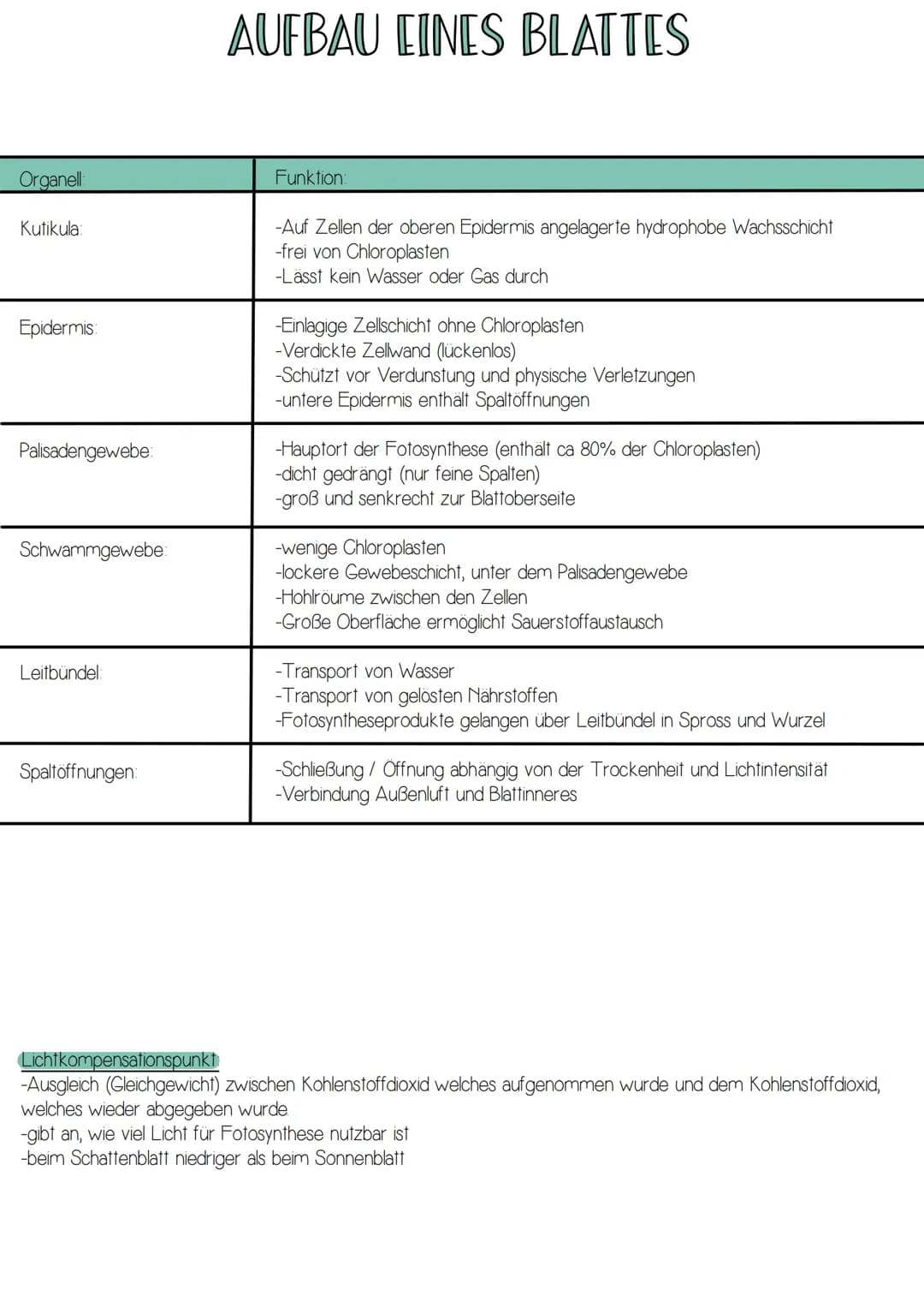 -Form von Energie
-elektromagnetische Strahlung wandert in rhythmischen
Wellen (Wellenlängen zwischen 400 und 700nm)
-breiten sich in Lichtg