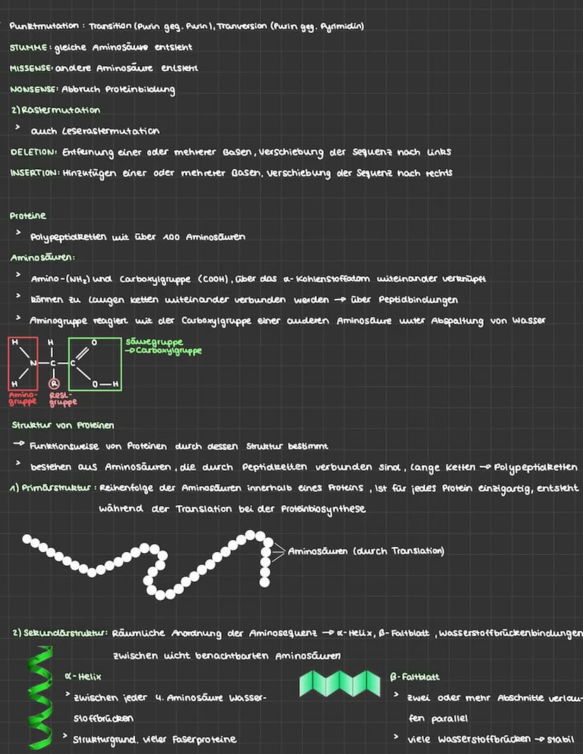 BIOLOGIE ABITUR
1) Genetik
ONA
NNN :
>
Nukleotid
Funktion:
Adenin
Thymin
Cytosin
Guanin
>
Zucker.
Phosphat-
Rückgrat
ONA und RNA
Basenverbin