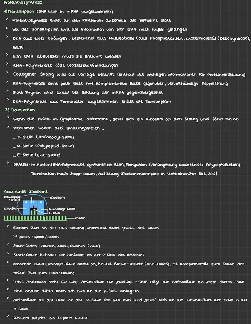 BIOLOGIE ABITUR
1) Genetik
ONA
NNN :
>
Nukleotid
Funktion:
Adenin
Thymin
Cytosin
Guanin
>
Zucker.
Phosphat-
Rückgrat
ONA und RNA
Basenverbin