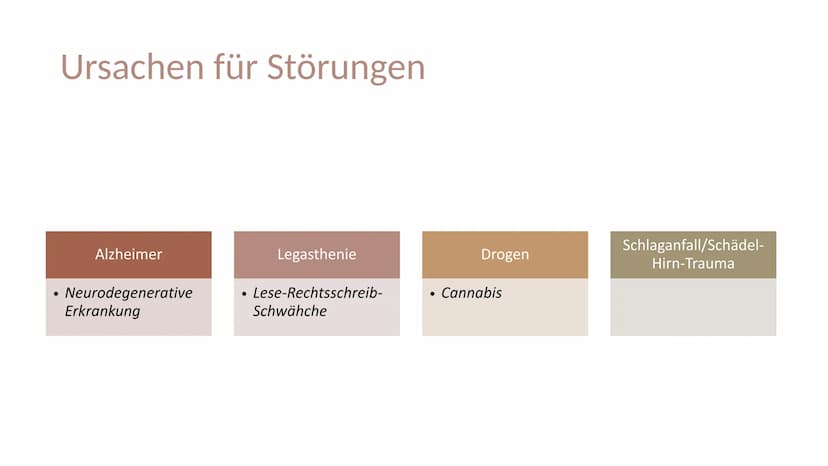Erinnern und
Gedächtnis Inhaltsverzeichnis
1. Aufbau des menschlichen Gehirns
●
2. Grundlagen der Gedächtnisbildung
2.1 das Kurzzeitgedächtn