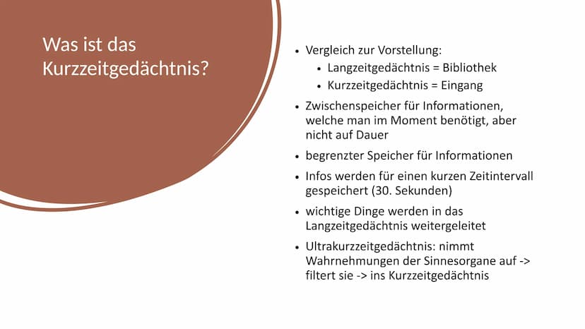 Erinnern und
Gedächtnis Inhaltsverzeichnis
1. Aufbau des menschlichen Gehirns
●
2. Grundlagen der Gedächtnisbildung
2.1 das Kurzzeitgedächtn