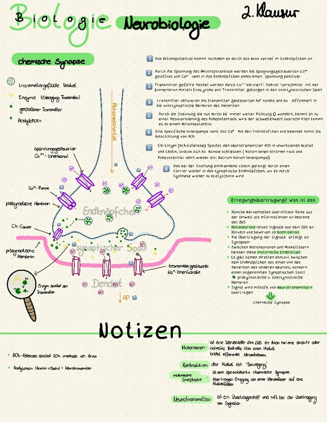 Neurobiologie