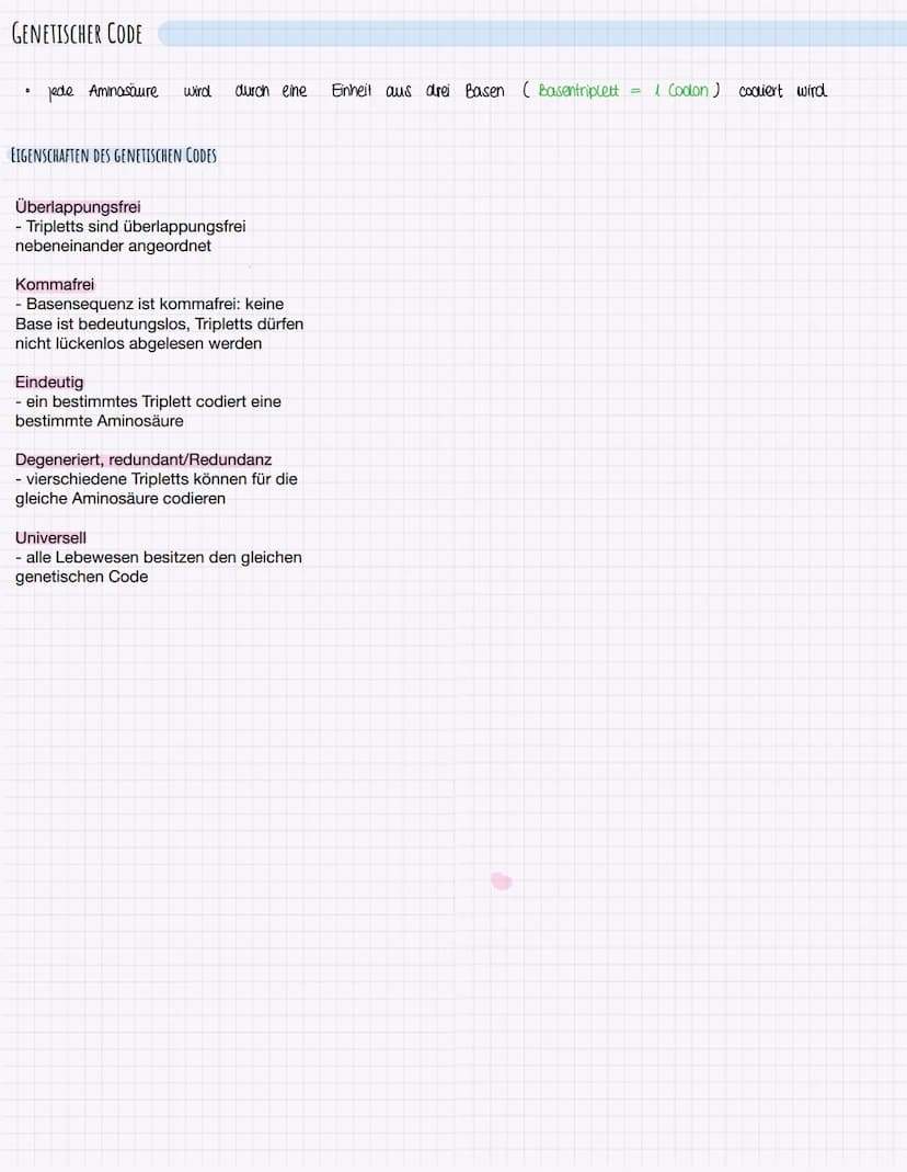3'
TRANSKRIPTION BEI PROKARYOTEN
= DNA - Sequenz wird einsträngig kopiert
-> Kopie ist zum Matrizenstrang,,codogener Strang" komplementär
- 